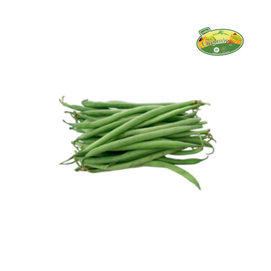 S&R Organic French Beans approx 500g